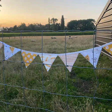 Glamping Mangoeste * Zedelgem